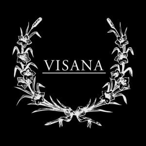 visana_logo_invert-1024x1024