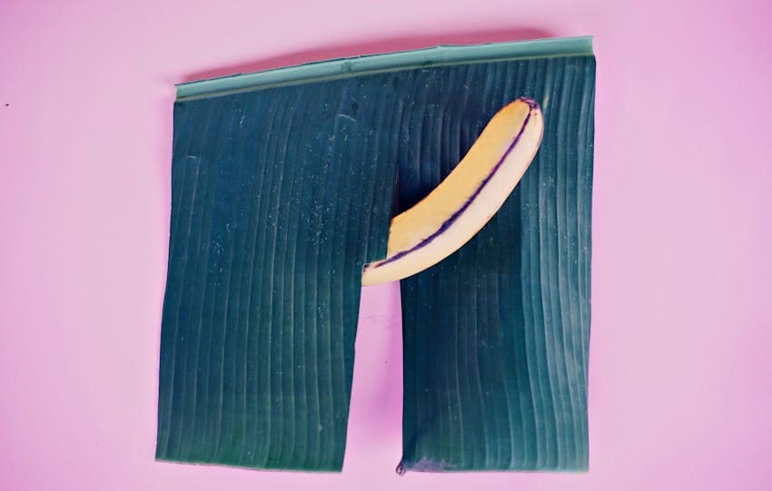 Creative conceptual image of a banana emerging from a banana leaf against a pink background.