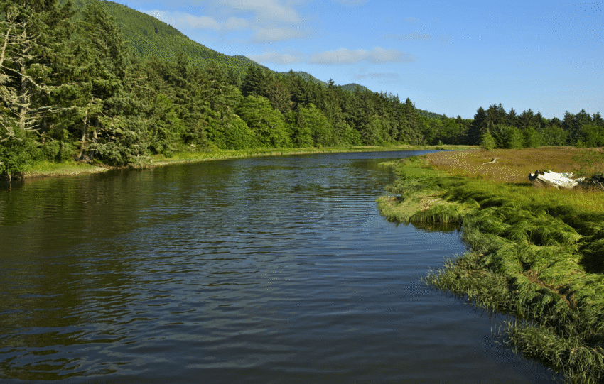 How California Rural Residents Are Benefitting from Virtual IOP for Mental Health