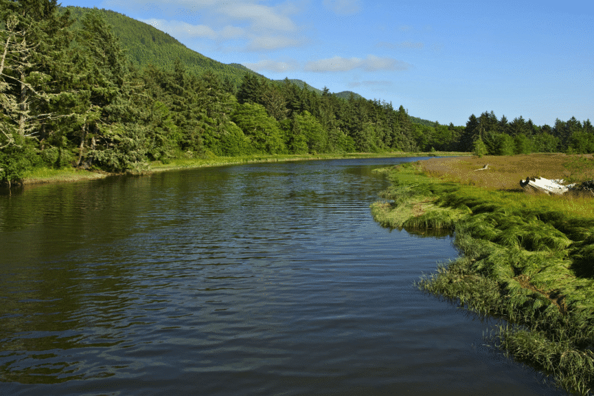 How California Rural Residents Are Benefitting from Virtual IOP for Mental Health