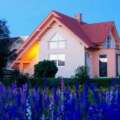 Why Vinyl Replacement Windows Are a Smart Home Improvement